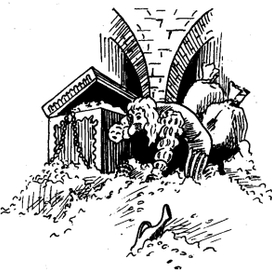 Иллюстрация к книге "Удивительные приключения Билла Грэлли"