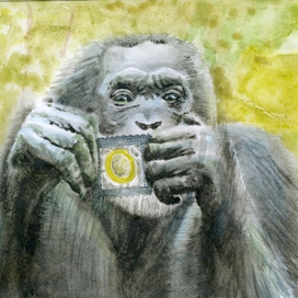 Эволюционные размышления