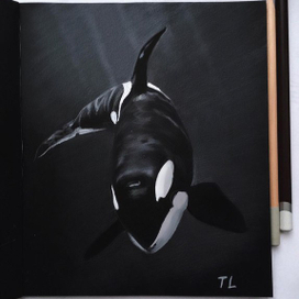 Blackfish