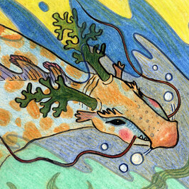 морской дракон