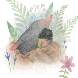 Крот и его друг Трюфелька