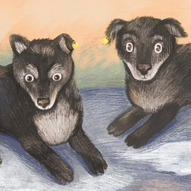 Бродячие собачки