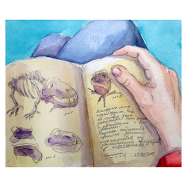 Чудозаврики