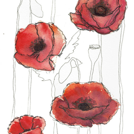 Красные акварельные маки