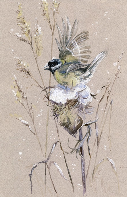 "Морозный чертополох"