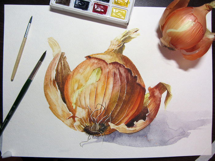 Лук репчатый