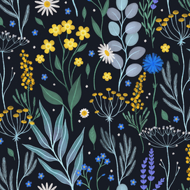 Полевые цветы