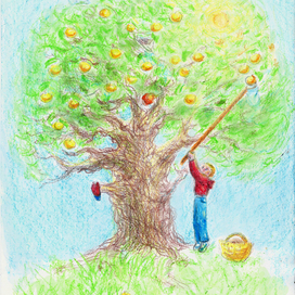 Сбор урожая