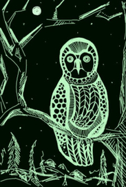 Ночная совушка