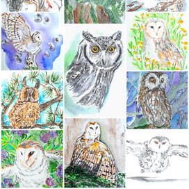 Owls cards set