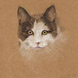 Кошка Берта