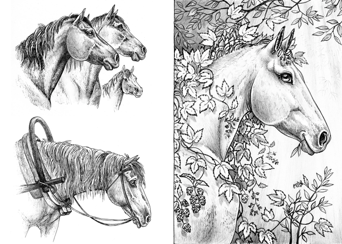 Разные лошадки к произведениям Ю. Коваля