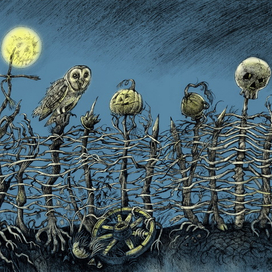 форзац для Н.В. Гоголь. Миргород.