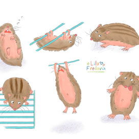 Hamster. Сharacter design