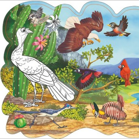 Птицы Северной Америки