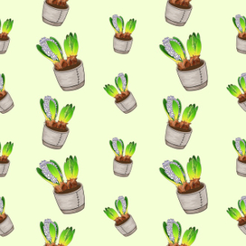 Любимые цветы