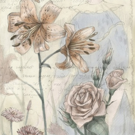 Алича в Зазеркалье. Сад живых цветов.