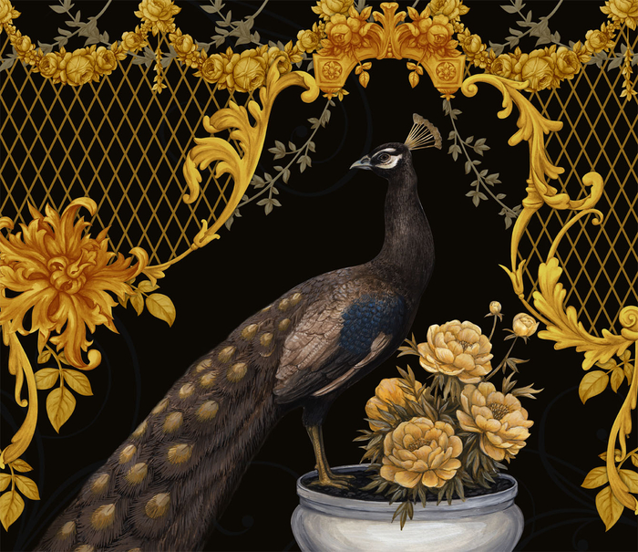 Черный павлин