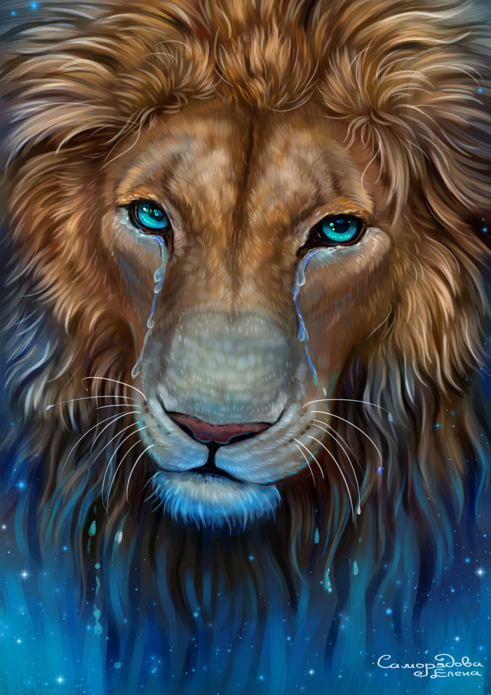 Слезы льва 