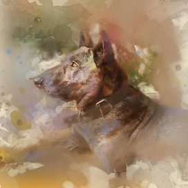 обработка фото в акварельной технике