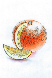 Иллюстрации к букварю