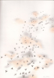 отражение, странники