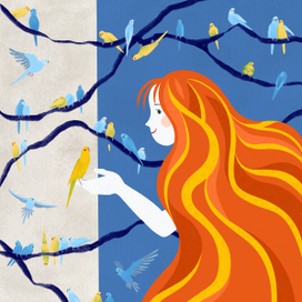 Волнистые попугайчики