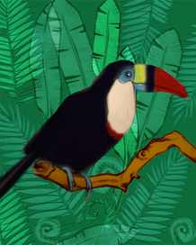 тукан