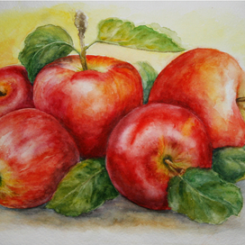 Красные яблоки 