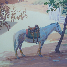 Вид из моего окна