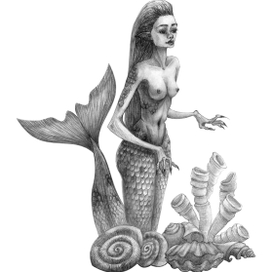 mermaid