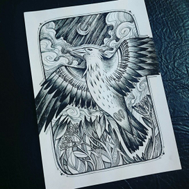 Ночная птица