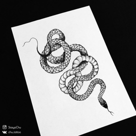 Любители змей