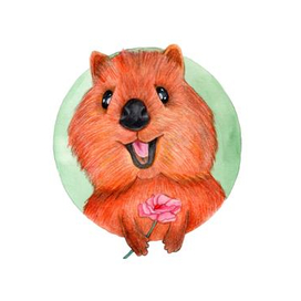 Милый квокка