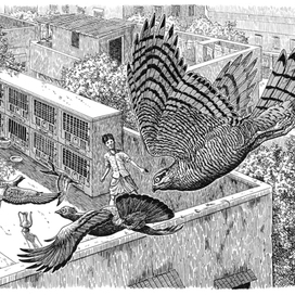 Калькуттский залётный.