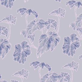 Цветы на окне моей классухи 