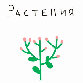 Паттерны с  растениями