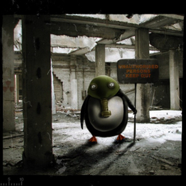 твое животное - пингвин