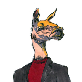 Важный лама