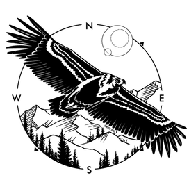 Черный Гриф