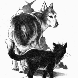 КОШКА... Договор с Псом