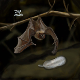 Летучая мышь и перо