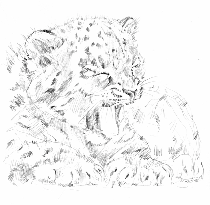 Снежный барсик Нидара