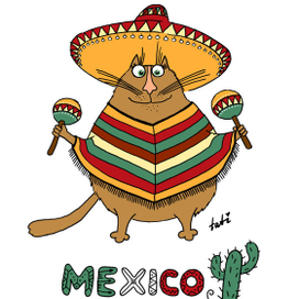Мексиканский кот - Mexican cat