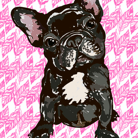 Иллюстрация собаки породы Франзуский бульдог