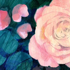 розовый сад