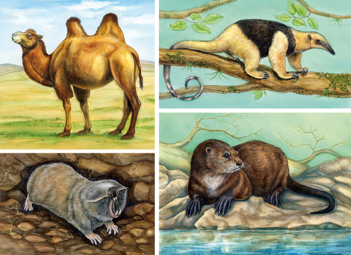 Над землей, на земле и под землей