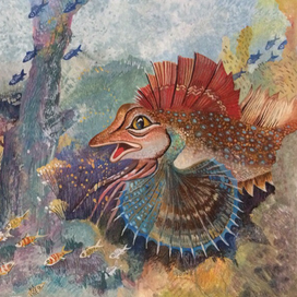 Морской петух