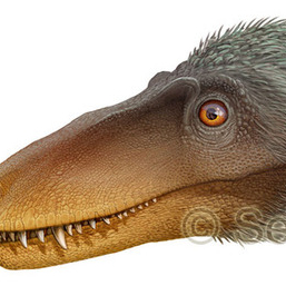 Малыш тираннозавр