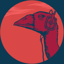 Гусь в наушниках